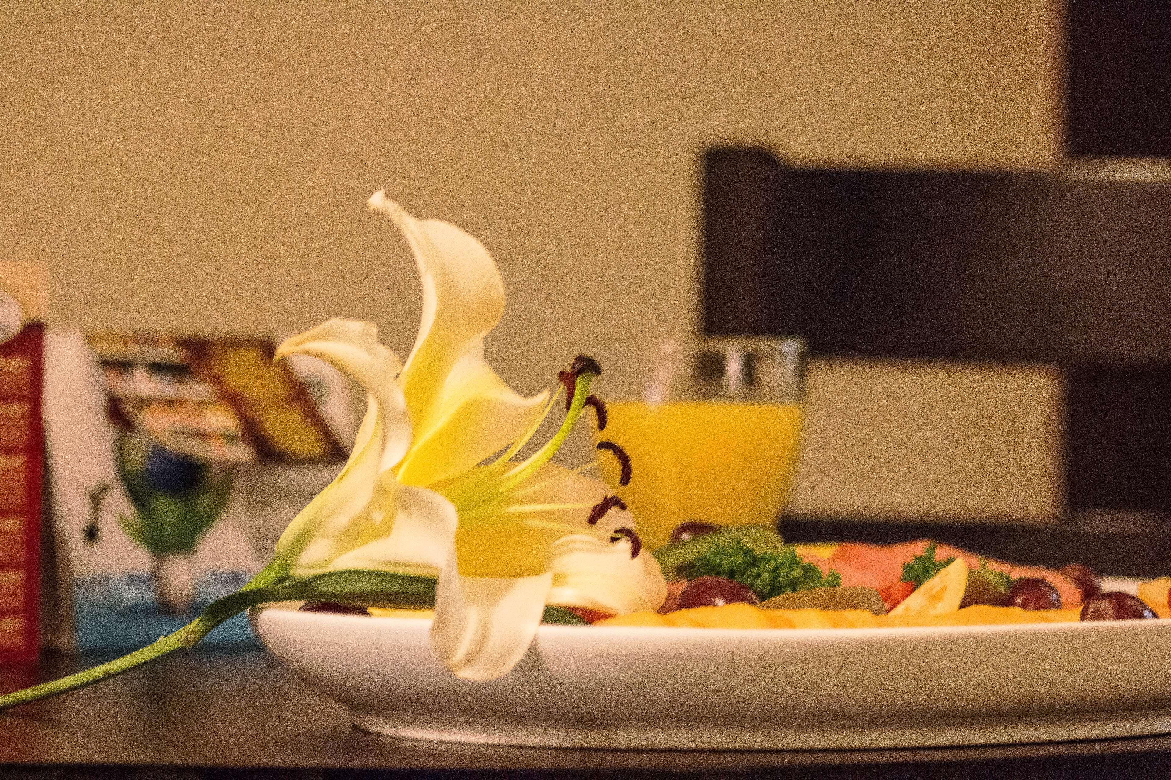Best Western Posada Del Rio Gomez Palacio Zewnętrze zdjęcie